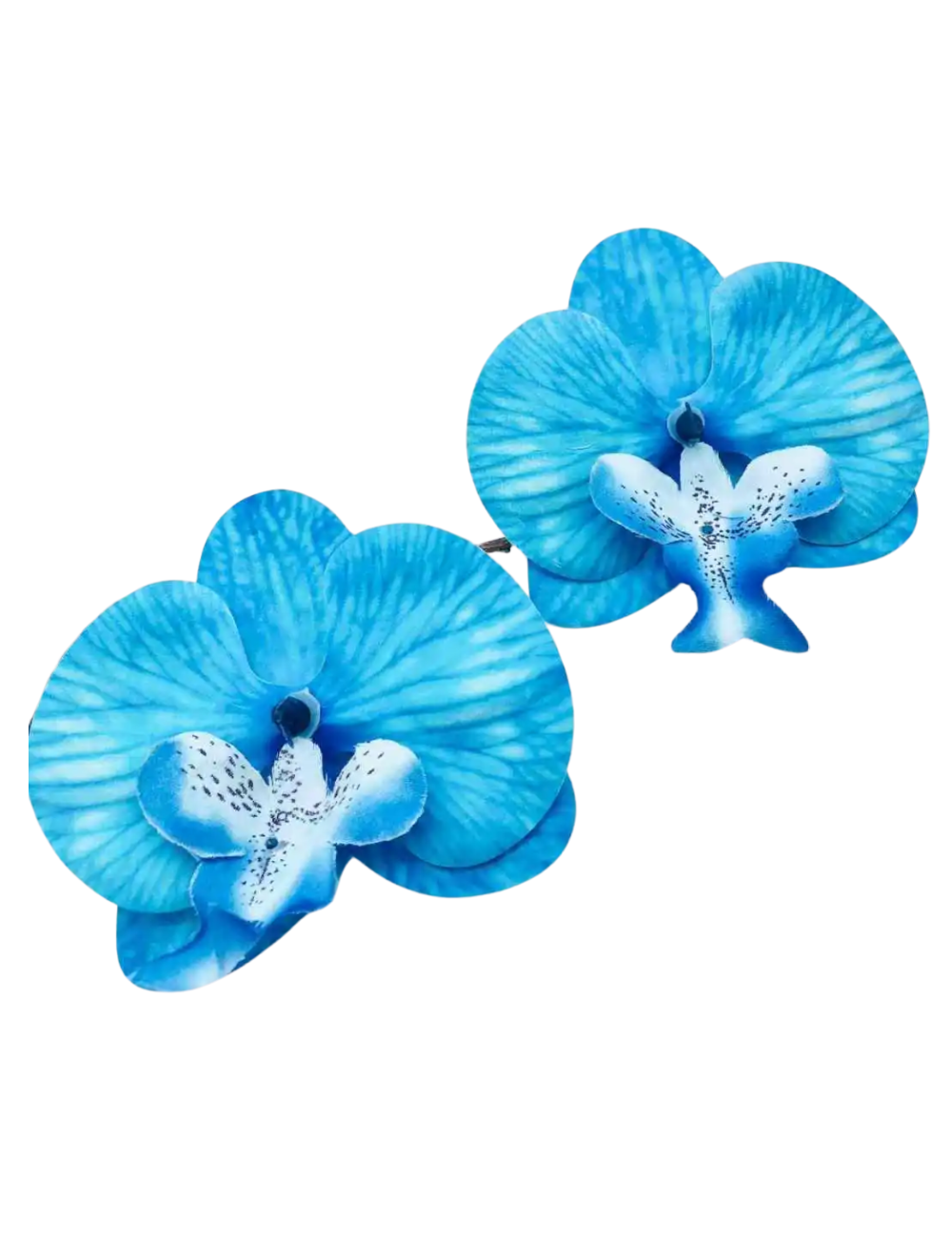 Boucles Azurine - double orchidée bleu azur XL