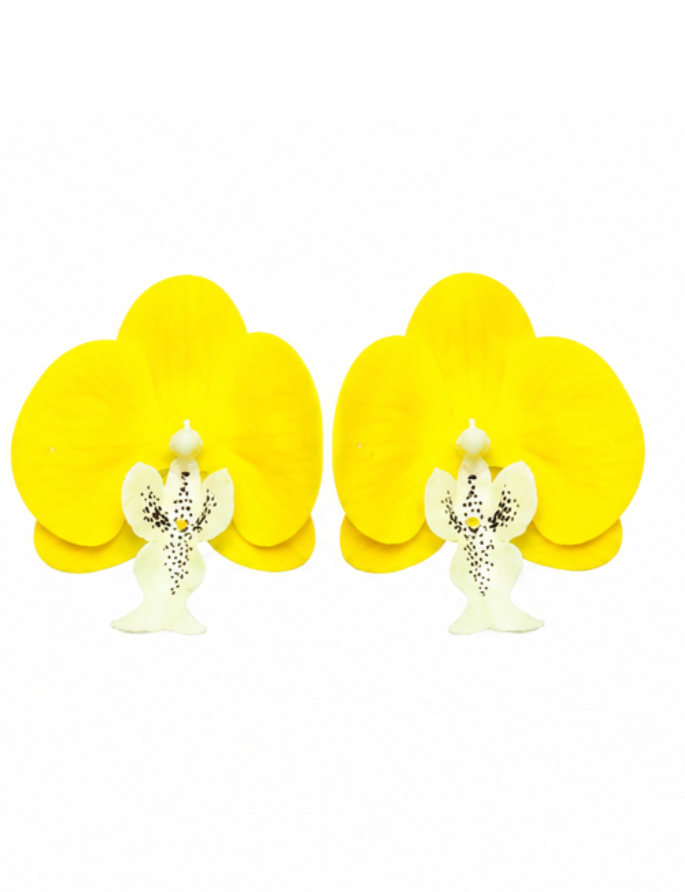 Boucles Miella - orchidée jaune XL