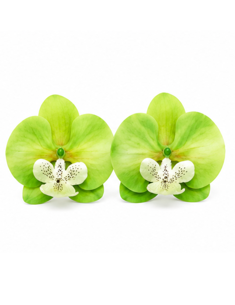 Boucles Verdi - orchidée vert tilleul XL