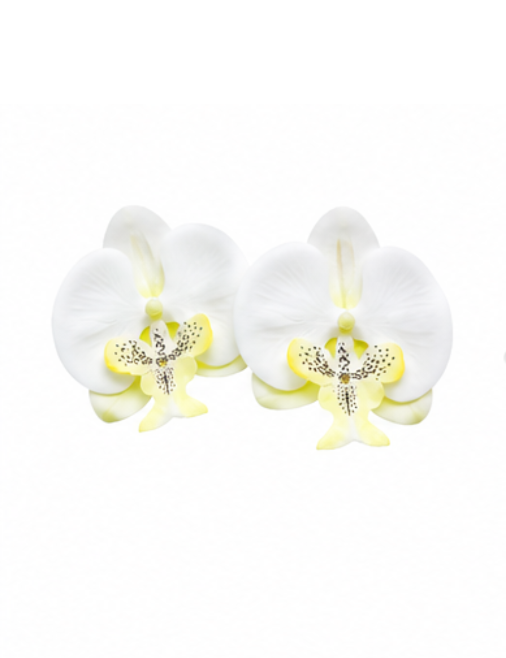 Boucles Vanilla - orchidée blanche et ivoire XL