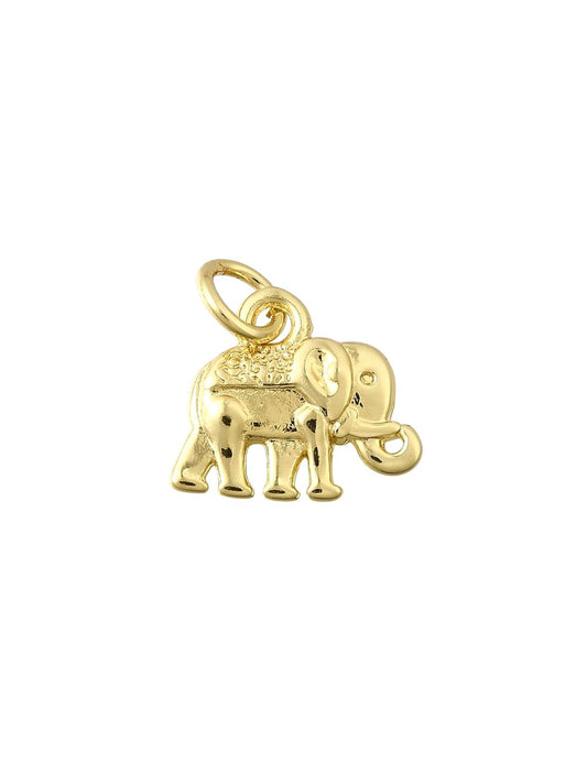 Charm Ganesh