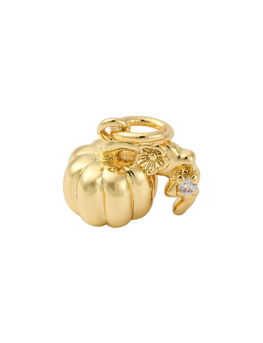 Charm Zucca