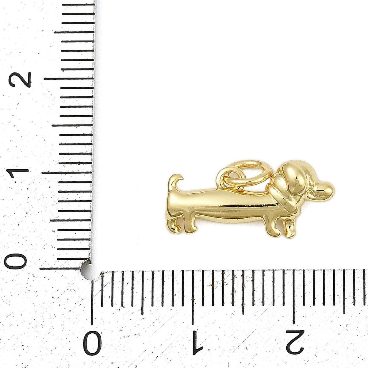 Charm Teckel